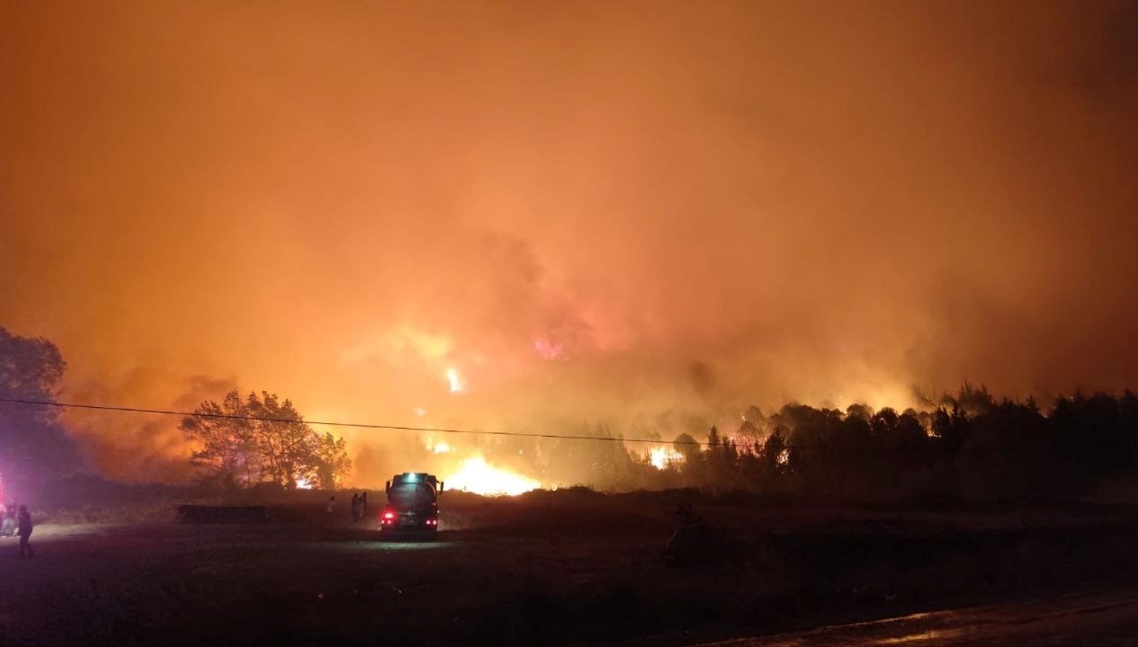 bursada orman yangini yerlesim yerlerine ilerliyor bApNTbjA