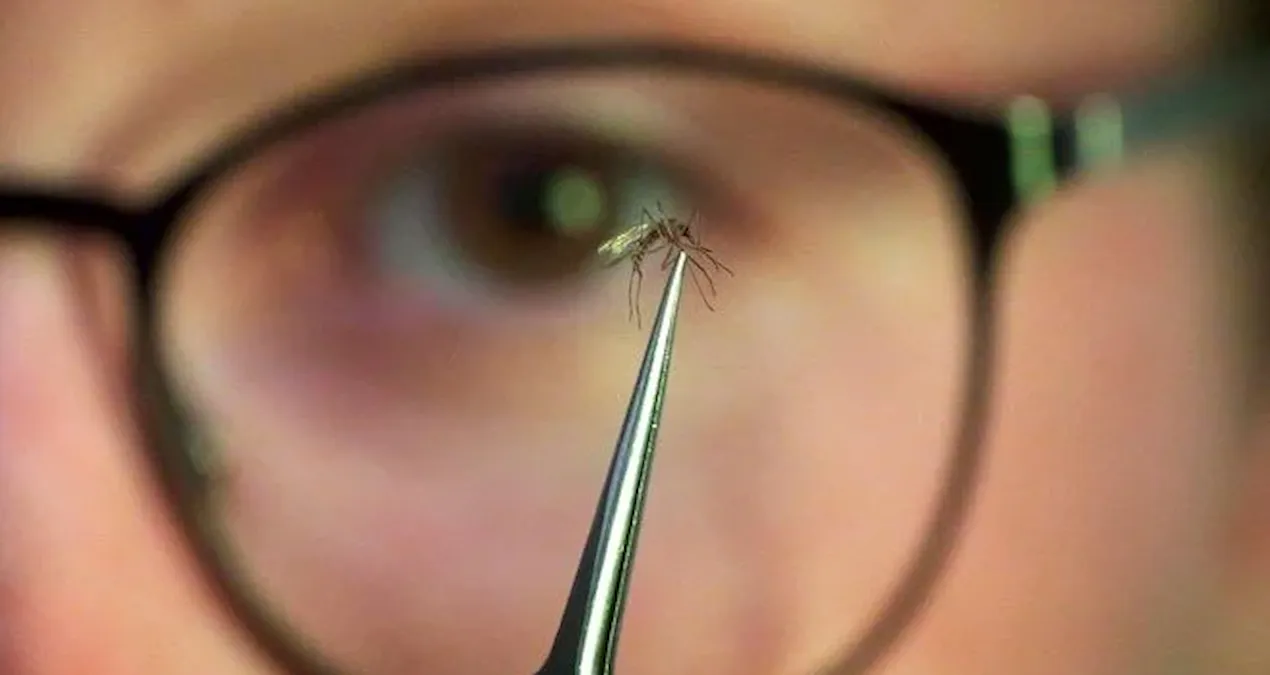 cinde yayilmaya baslayan salgin dunyayi endiselendiriyor CGBLuUpB