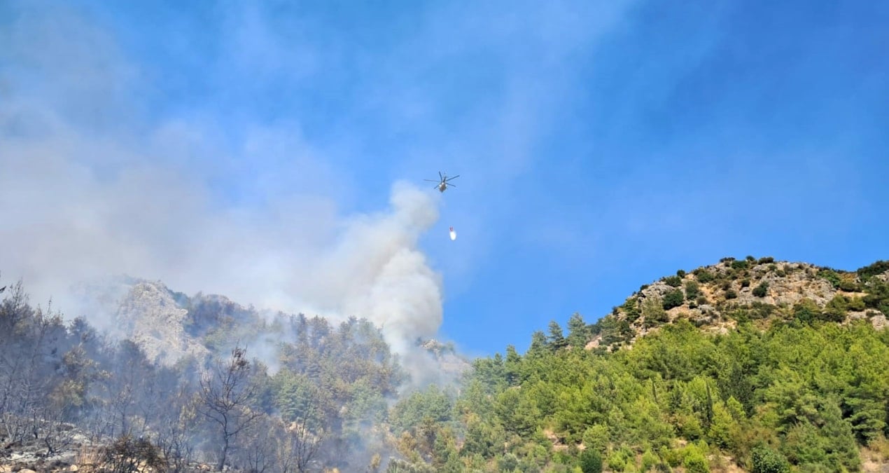 serikteki orman yangininda 1 gozalti 7fSma5hG