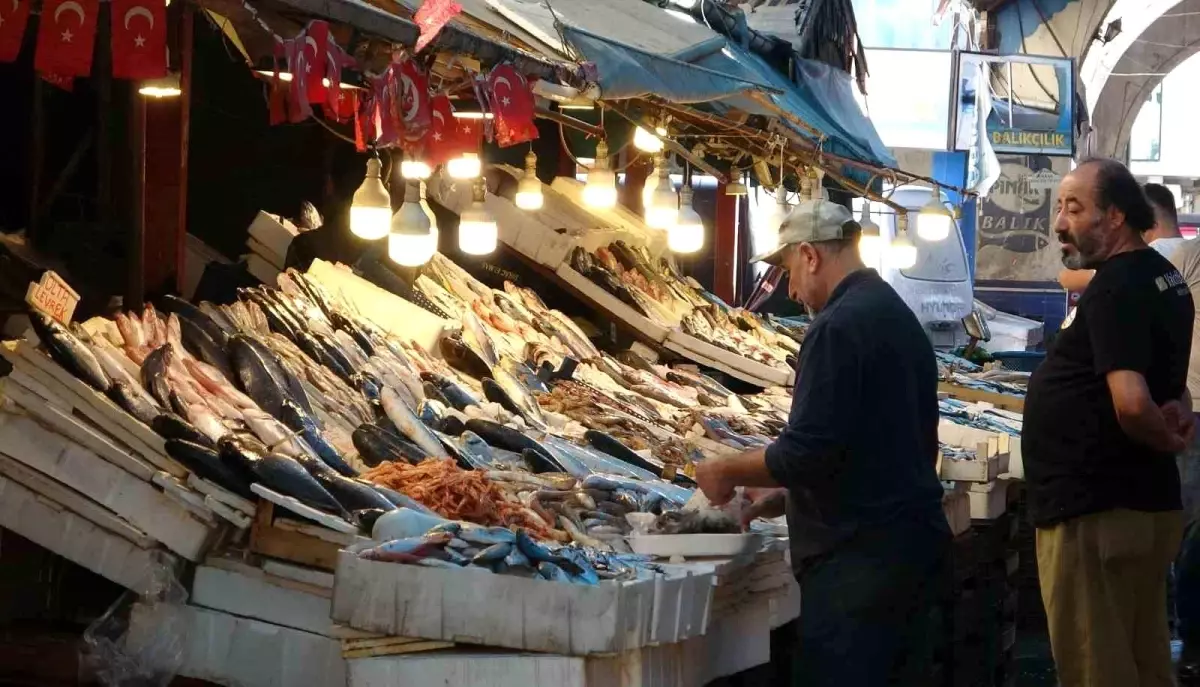 mersin balikcilari sezondan memnun fiyatlar uygun balik bol YeY74YZt.jpg