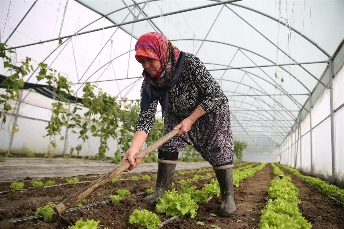 sirin uysalin ikinci serasi kuruluyor IWhgq17l.jpg