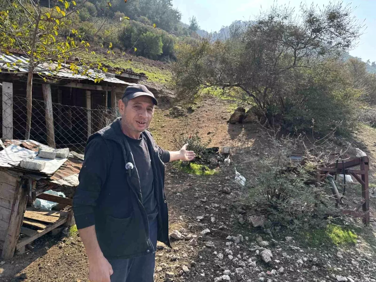 somada hayvancilik sikayeti saskinlik yaratti ZDPdsZ3v.jpg