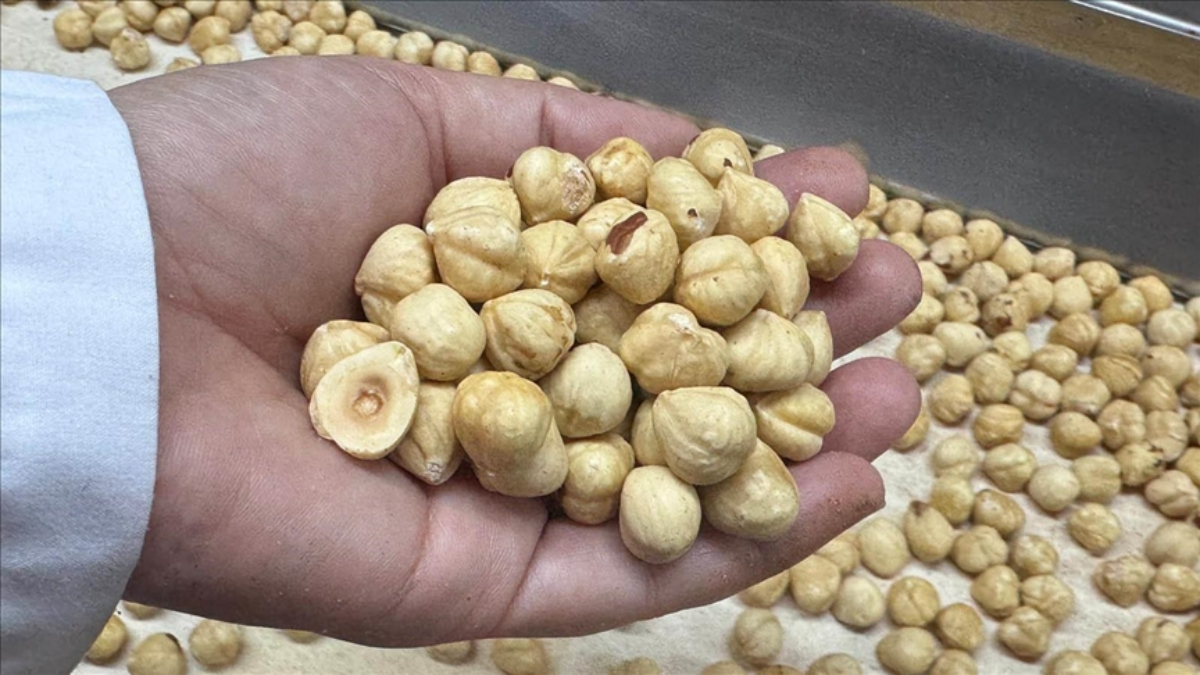 findik ihracati geliri aciklandi brwtU6cj.jpg