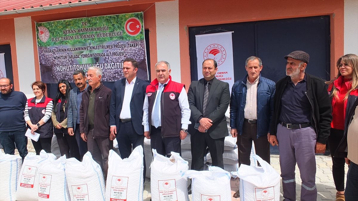 Keban’da Çiftçilere Nohut Tohumu Desteği