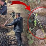 Kopeklerle adim adim arayip buldular topragin 5 ila 20 santimetre altinda 30 milyon tllik cS78RHl8