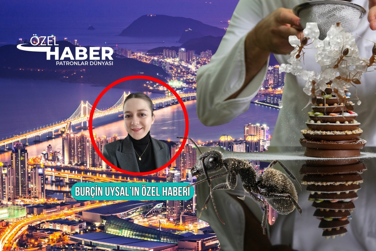 Michelin yildizli restoranda karincali tatli skandalindaki yeni gelismeler pdde 12 bin 274 porsiyon satti PamCj6Sf
